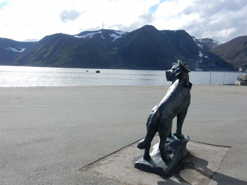 01-bamse-honningvåg